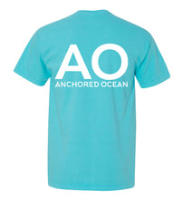 Load image into Gallery viewer, AO Classic T-Shirt